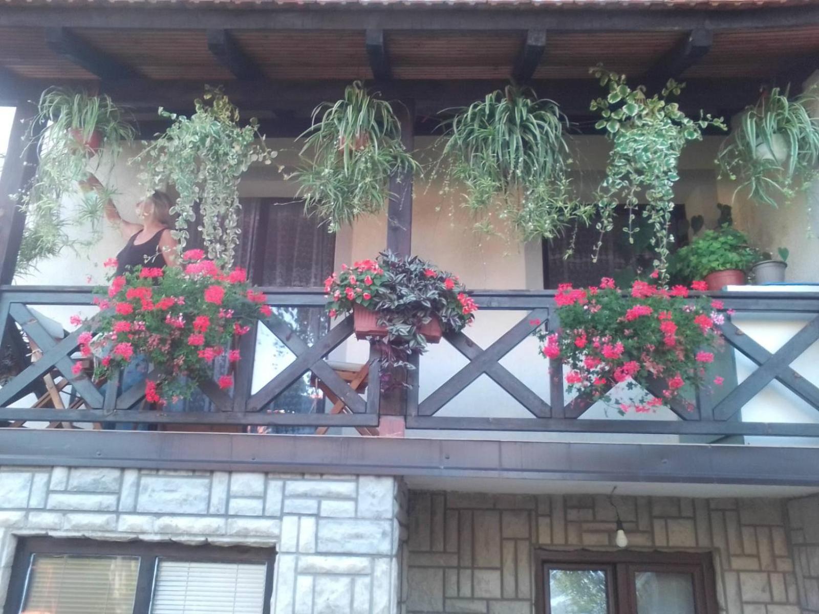 Privatni Smestaj Tesevic Zlatibor Dış mekan fotoğraf